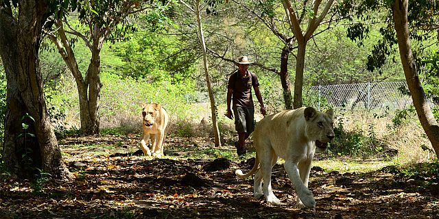 Safari adventures package (21)